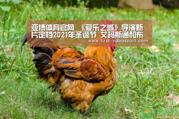 亚博官网